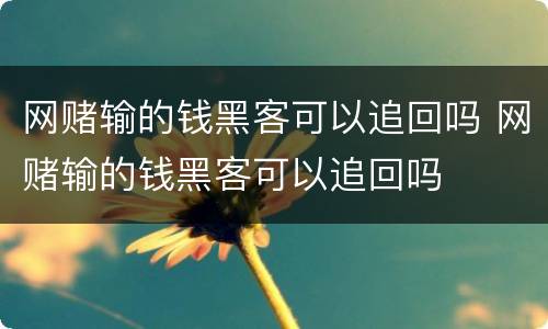网赌输的钱黑客可以追回吗 网赌输的钱黑客可以追回吗