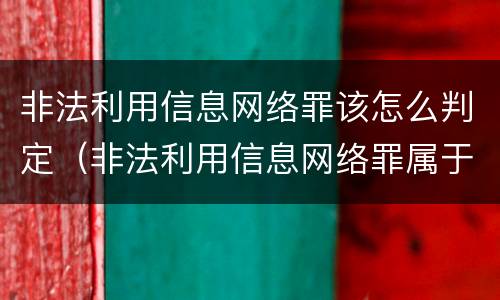 非法利用信息网络罪该怎么判定（非法利用信息网络罪属于什么案件）