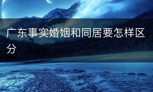 广东事实婚姻和同居要怎样区分