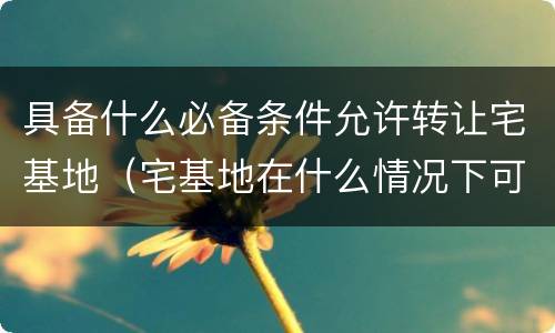 具备什么必备条件允许转让宅基地（宅基地在什么情况下可以转让）