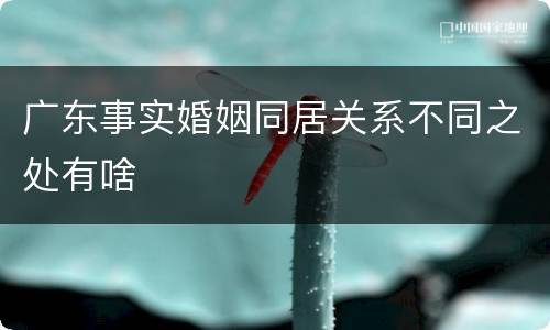 广东事实婚姻同居关系不同之处有啥