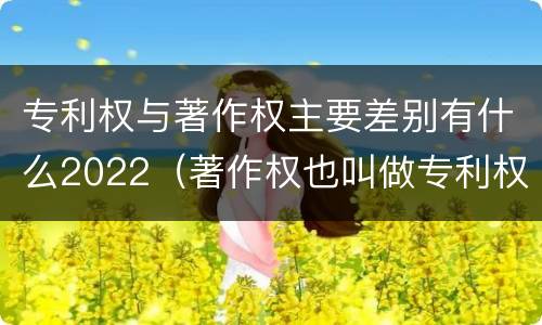 专利权与著作权主要差别有什么2022（著作权也叫做专利权吗）