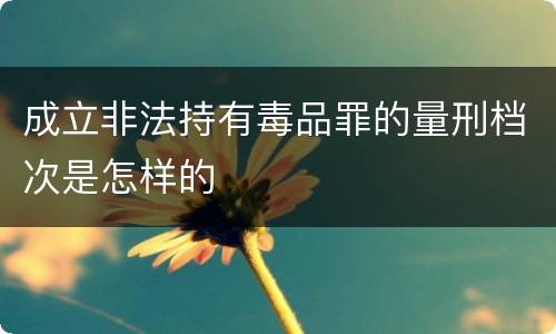 成立非法持有毒品罪的量刑档次是怎样的