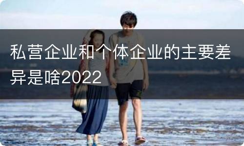 私营企业和个体企业的主要差异是啥2022