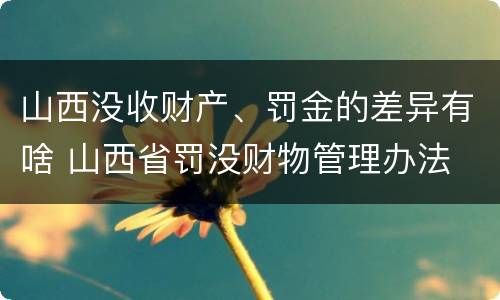 山西没收财产、罚金的差异有啥 山西省罚没财物管理办法