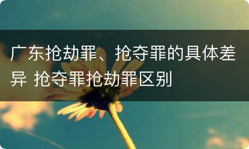 广东抢劫罪、抢夺罪的具体差异 抢夺罪抢劫罪区别