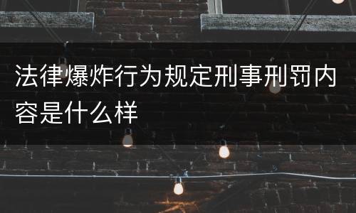法律爆炸行为规定刑事刑罚内容是什么样