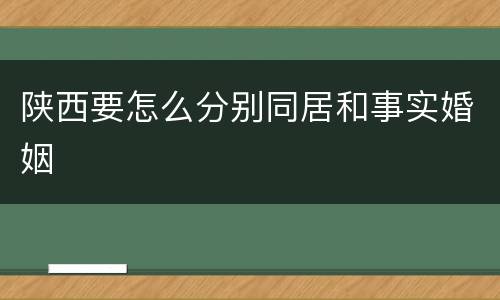 陕西要怎么分别同居和事实婚姻