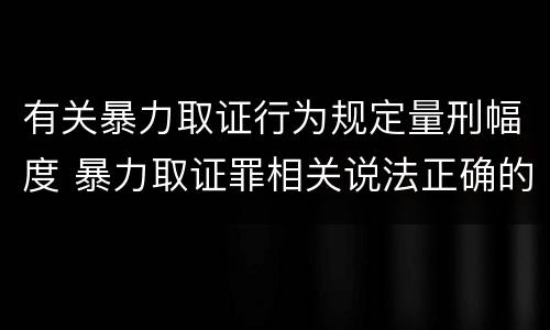 有关暴力取证行为规定量刑幅度 暴力取证罪相关说法正确的是