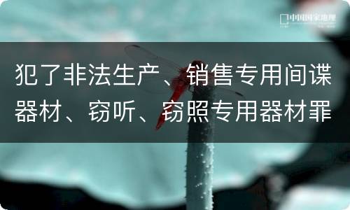 犯了非法生产、销售专用间谍器材、窃听、窃照专用器材罪既遂怎么处罚