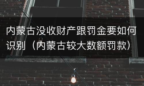 内蒙古没收财产跟罚金要如何识别（内蒙古较大数额罚款）