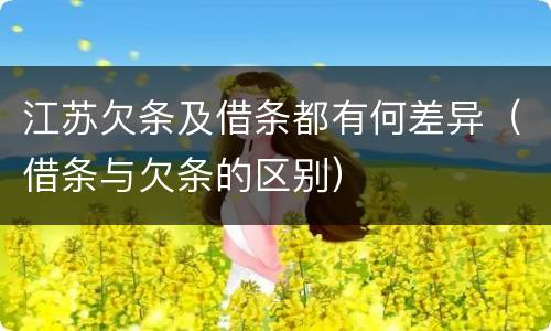 江苏欠条及借条都有何差异（借条与欠条的区别）
