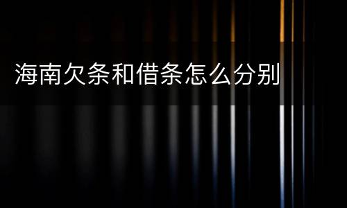 海南欠条和借条怎么分别