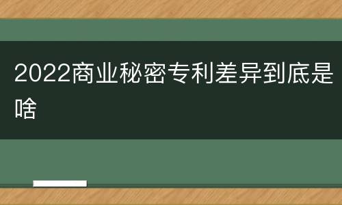 2022商业秘密专利差异到底是啥