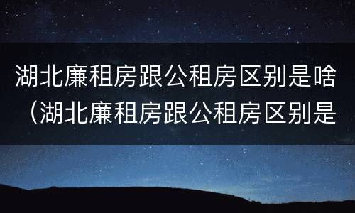 湖北廉租房跟公租房区别是啥（湖北廉租房跟公租房区别是啥啊）