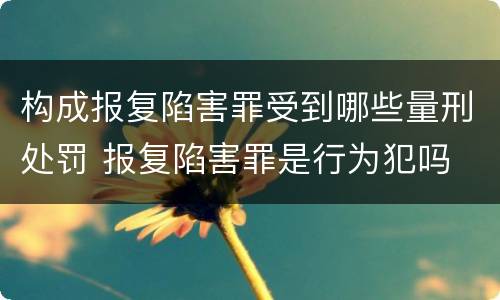 构成报复陷害罪受到哪些量刑处罚 报复陷害罪是行为犯吗