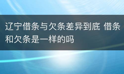 辽宁借条与欠条差异到底 借条和欠条是一样的吗