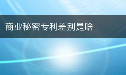 商业秘密专利差别是啥