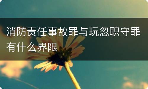 消防责任事故罪与玩忽职守罪有什么界限