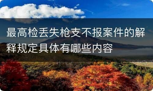 最高检丢失枪支不报案件的解释规定具体有哪些内容