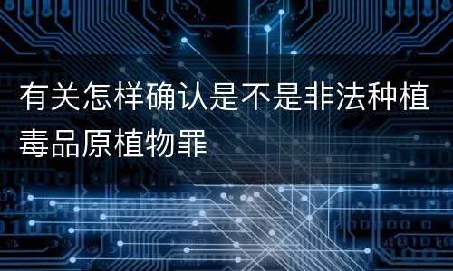 有关怎样确认是不是非法种植毒品原植物罪