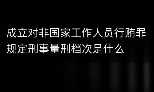 成立对非国家工作人员行贿罪规定刑事量刑档次是什么