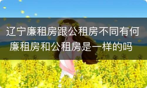 辽宁廉租房跟公租房不同有何 廉租房和公租房是一样的吗