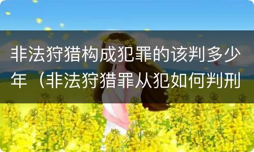 非法狩猎构成犯罪的该判多少年（非法狩猎罪从犯如何判刑）