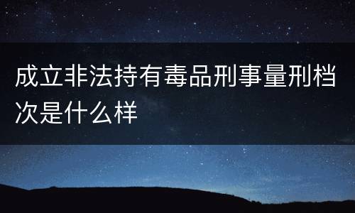 成立非法持有毒品刑事量刑档次是什么样