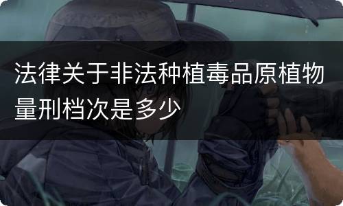 法律关于非法种植毒品原植物量刑档次是多少