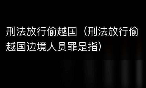 刑法放行偷越国（刑法放行偷越国边境人员罪是指）
