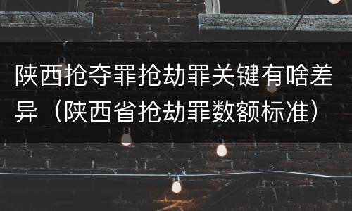 陕西抢夺罪抢劫罪关键有啥差异（陕西省抢劫罪数额标准）