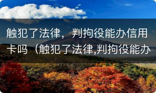 触犯了法律，判拘役能办信用卡吗（触犯了法律,判拘役能办信用卡吗有影响吗）