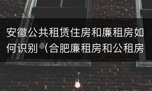 安徽公共租赁住房和廉租房如何识别（合肥廉租房和公租房的区别）