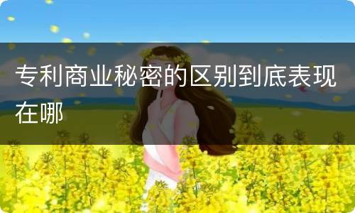 专利商业秘密的区别到底表现在哪