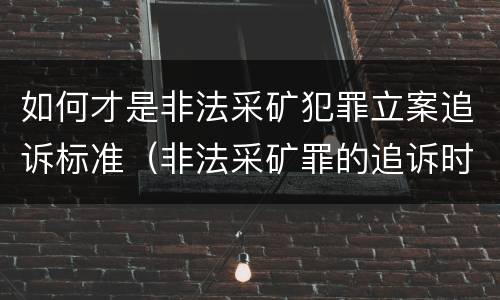 如何才是非法采矿犯罪立案追诉标准（非法采矿罪的追诉时效）