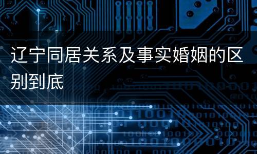 辽宁同居关系及事实婚姻的区别到底