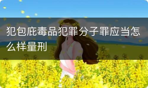 犯包庇毒品犯罪分子罪应当怎么样量刑