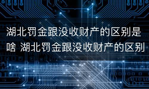 湖北罚金跟没收财产的区别是啥 湖北罚金跟没收财产的区别是啥呢