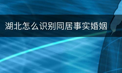湖北怎么识别同居事实婚姻