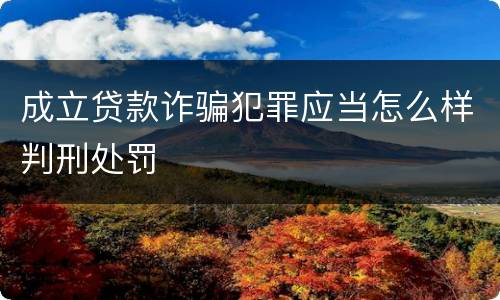 成立贷款诈骗犯罪应当怎么样判刑处罚