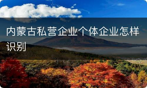 内蒙古私营企业个体企业怎样识别