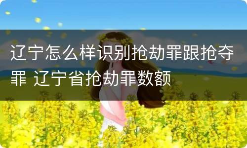 辽宁怎么样识别抢劫罪跟抢夺罪 辽宁省抢劫罪数额