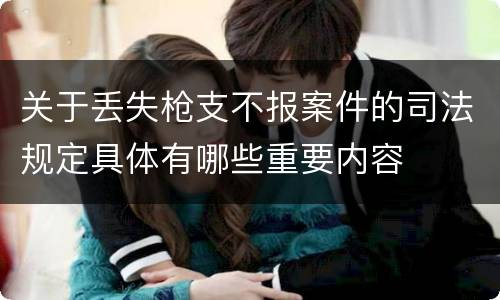 关于丢失枪支不报案件的司法规定具体有哪些重要内容