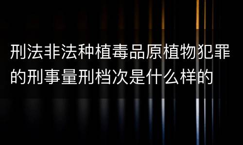 刑法非法种植毒品原植物犯罪的刑事量刑档次是什么样的