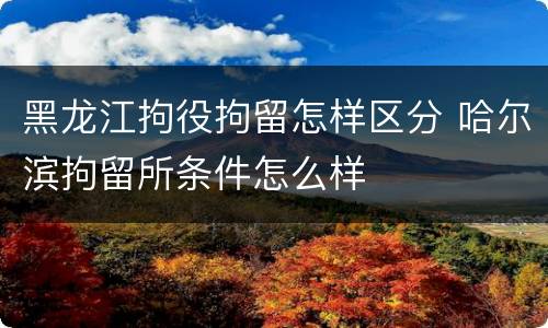 黑龙江拘役拘留怎样区分 哈尔滨拘留所条件怎么样