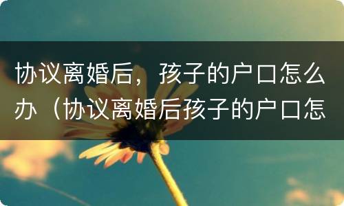 协议离婚后，孩子的户口怎么办（协议离婚后孩子的户口怎么办,有什么手续?）