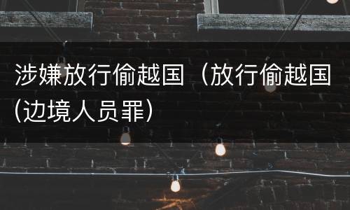 涉嫌放行偷越国（放行偷越国(边境人员罪）