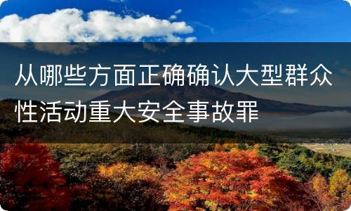 从哪些方面正确确认大型群众性活动重大安全事故罪