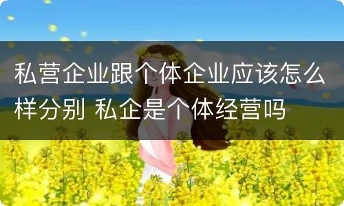 私营企业跟个体企业应该怎么样分别 私企是个体经营吗